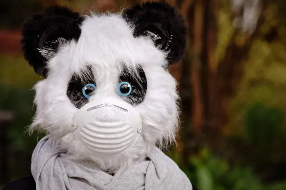 НоксУин Казино Поддръжка